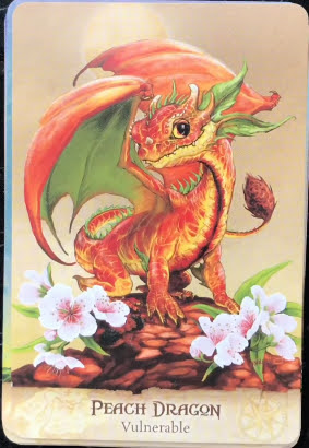 Field Guide to Garden Dragons